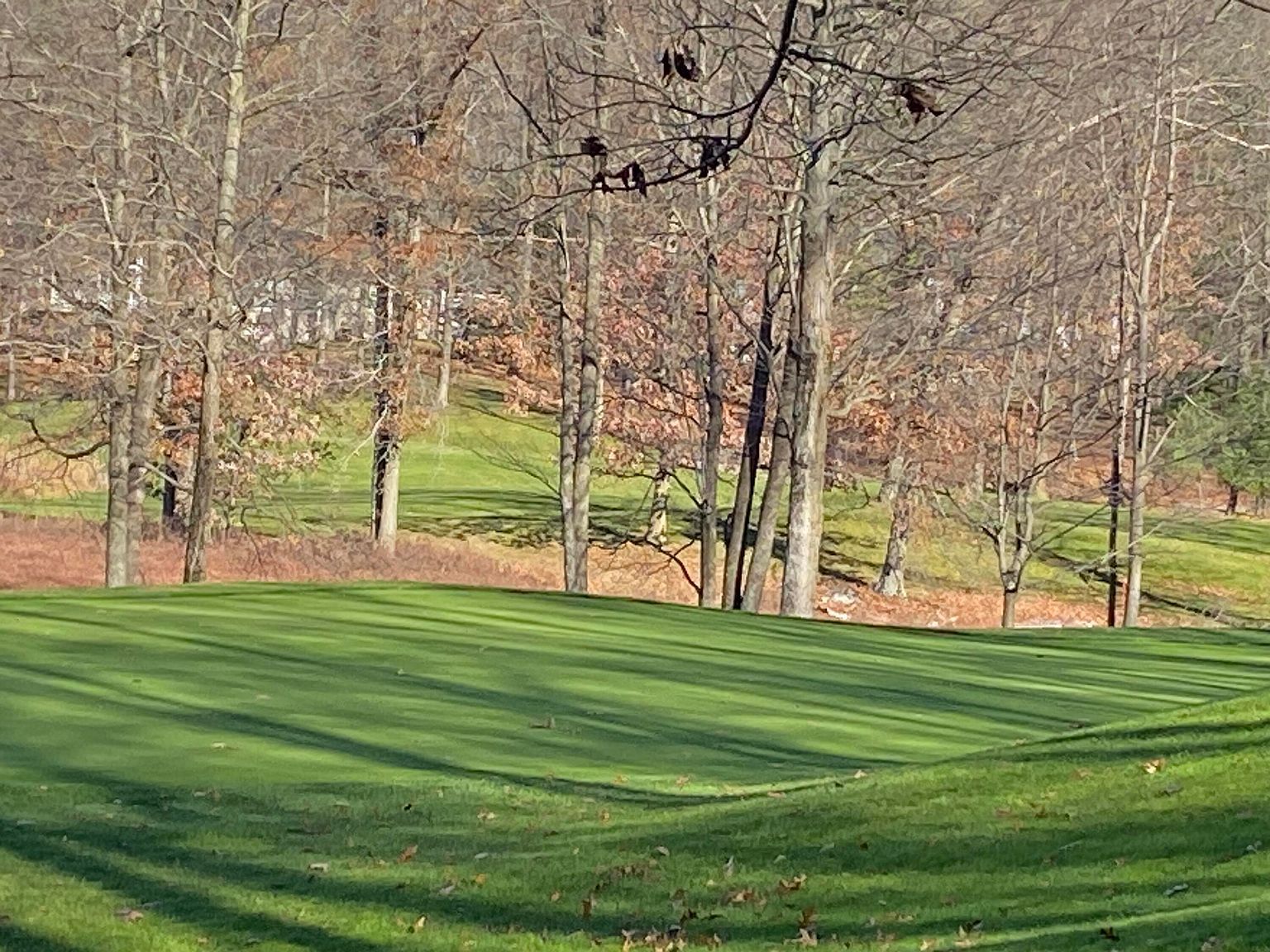 8975 Whispering Ln #234-235 Stanwood, MI 49346 - Thumbnail 2