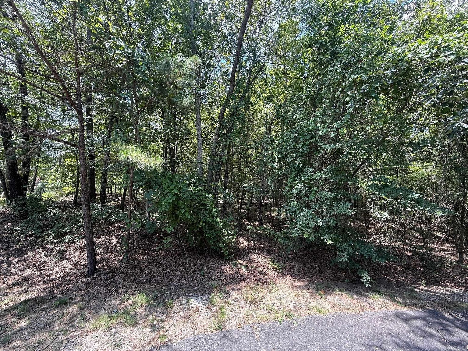 14 Versalles Ln Hot Springs Village, AR 71909 - Thumbnail 2