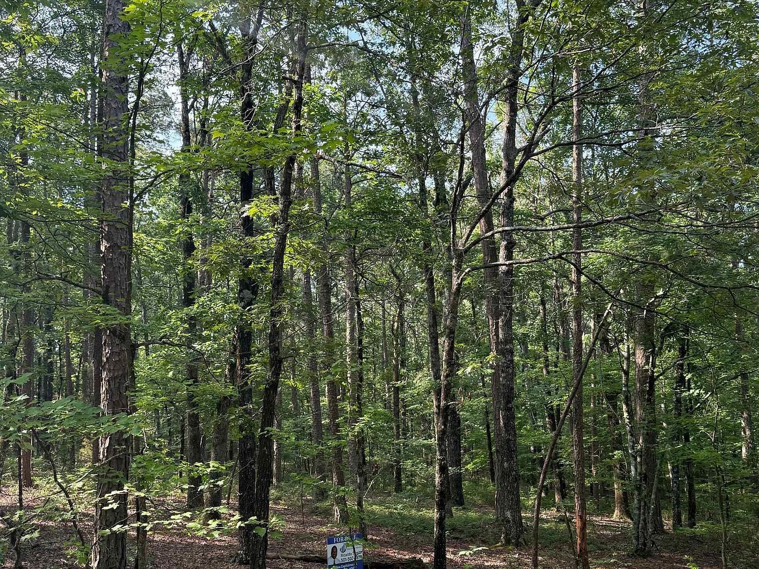 Almansa Ln Hot Springs Village, AR 71909 - Thumbnail 2