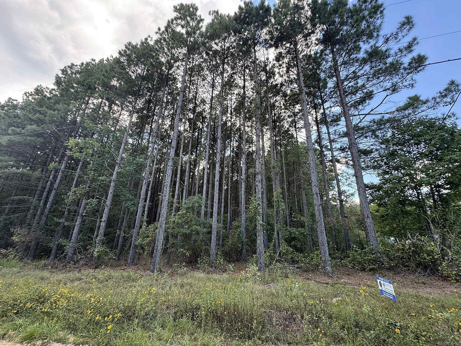 7214 Jericho Rd Pine Bluff, AR 71603 - Thumbnail 2