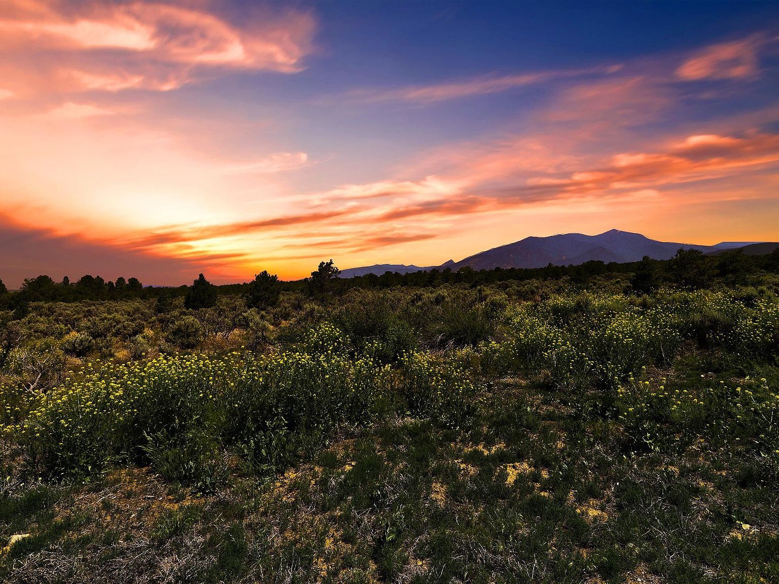 2010 Cottontail Taos, NM 87571 - Thumbnail 2