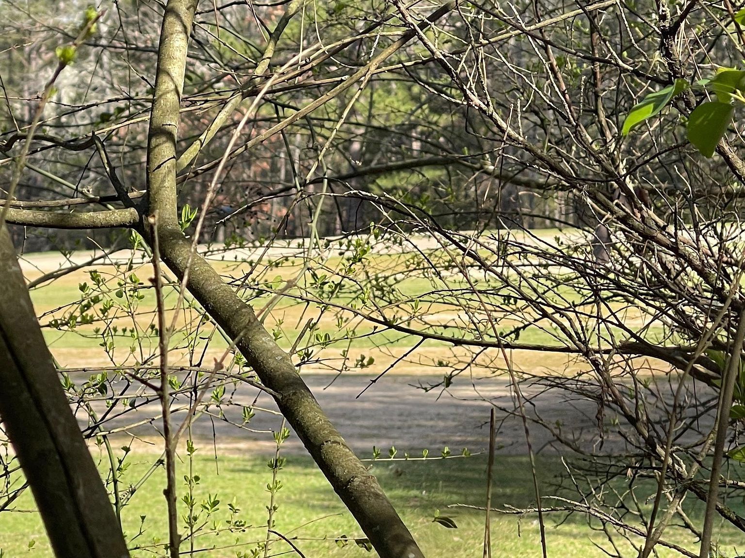 152 Mountain Ranch Dr Fairfield Bay, AR 72088 - Thumbnail 2