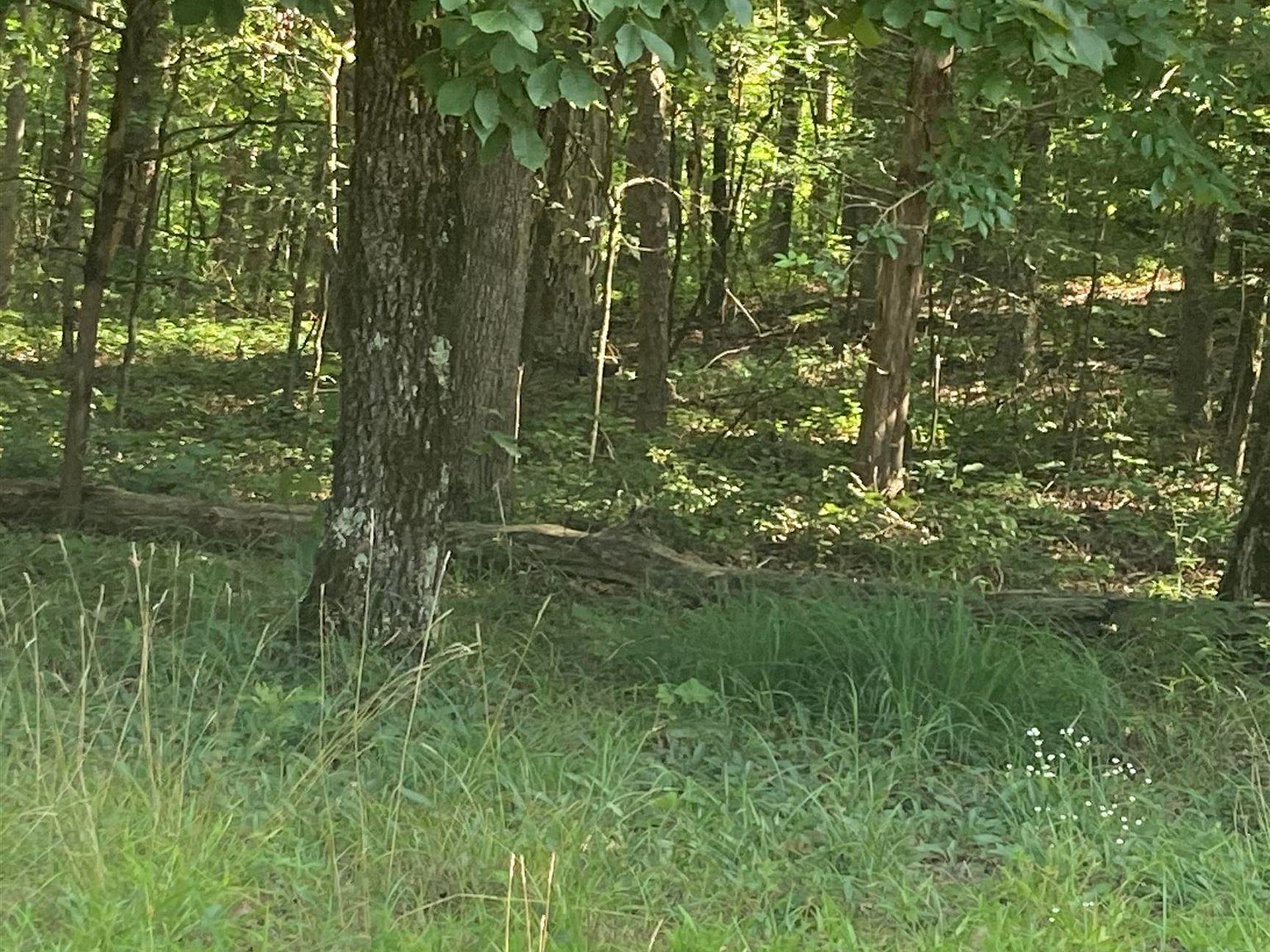 114-BLOCK12 Woodlawn Dr Fairfield Bay, AR 72088 - Thumbnail 2