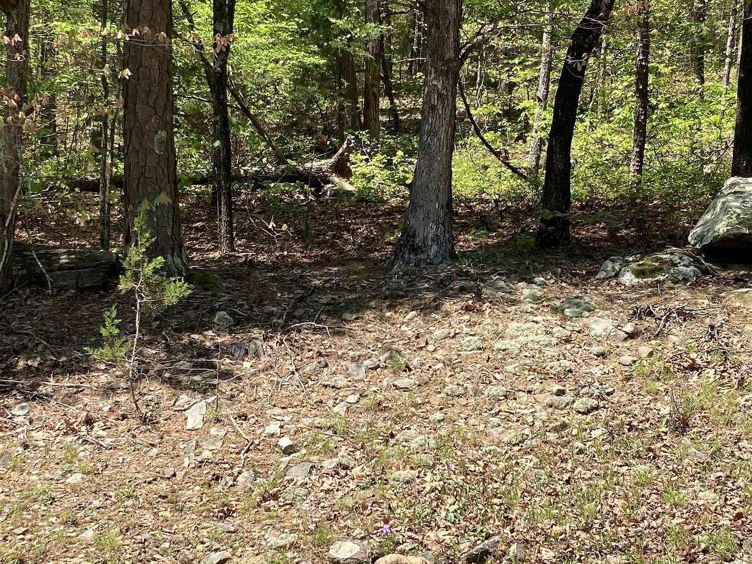 46 Cambridge Ct Fairfield Bay, AR 72088 - Thumbnail 2