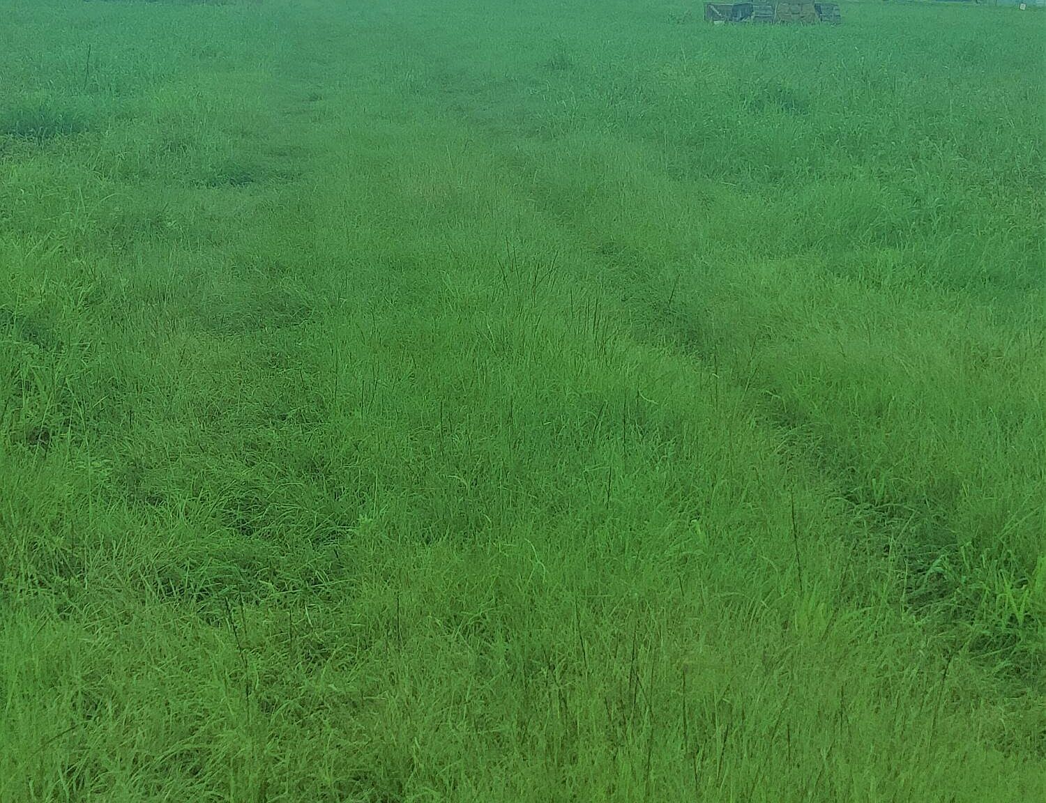 Us Highway 167 #10 Opelousas, LA 70570 | Land/Lot