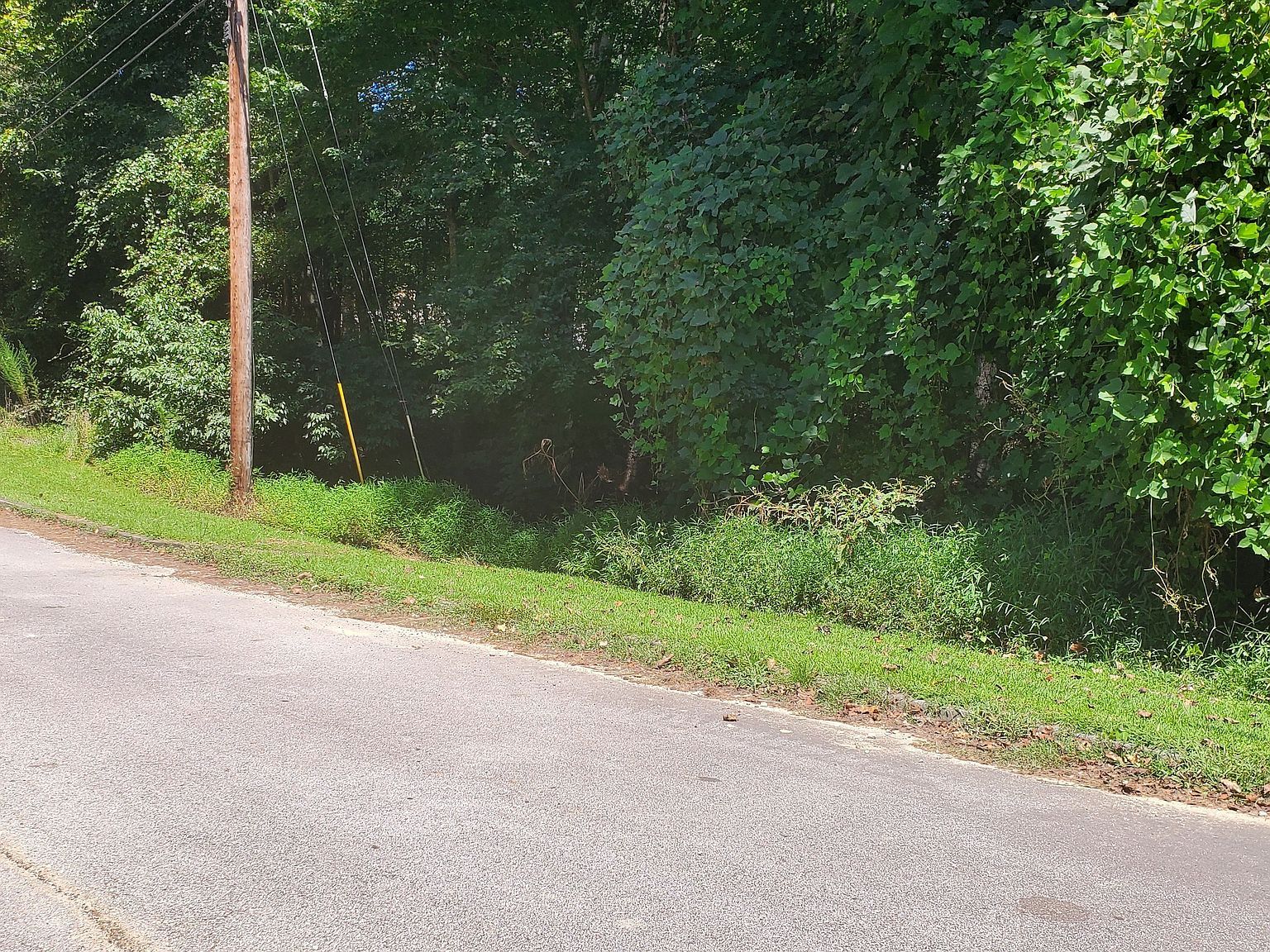 0 Hidden Branch Dr Buford, GA 30518  | Land/Lot