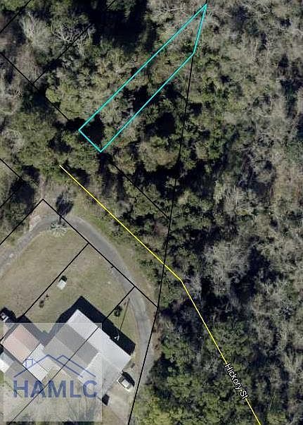 385 N Hickory St Jesup, GA 31546  | Land/Lot
