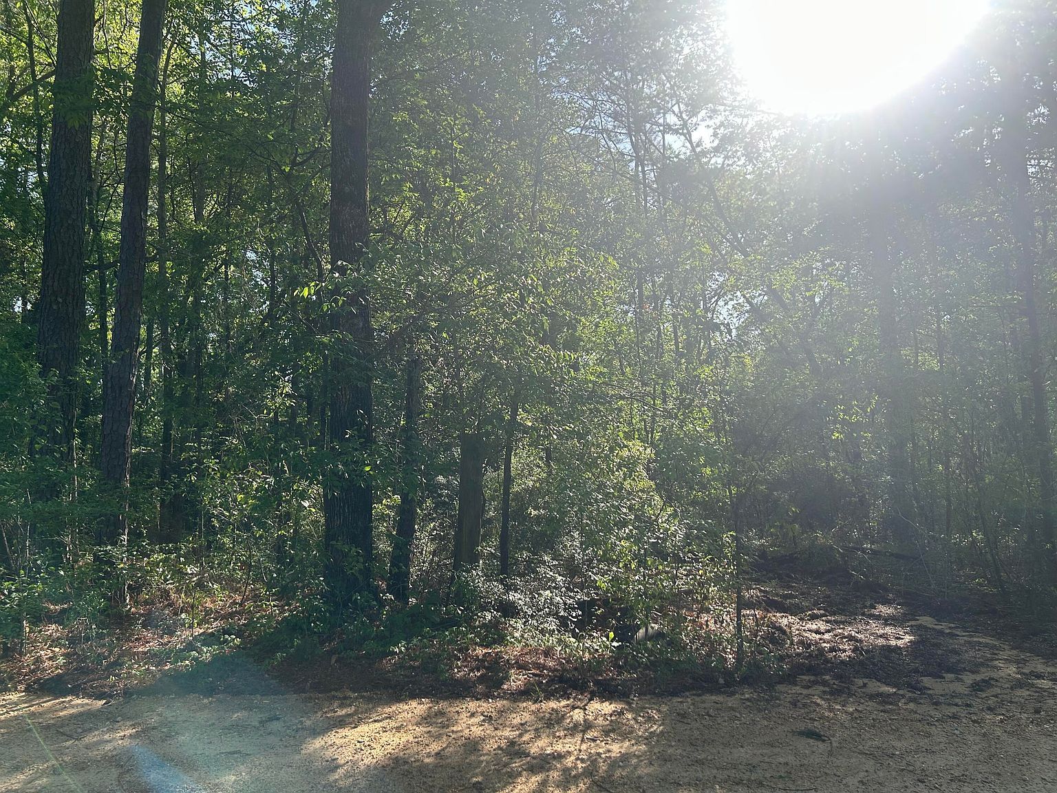 3101 Old Amy Rd Laurel, MS 39443 - Thumbnail 2