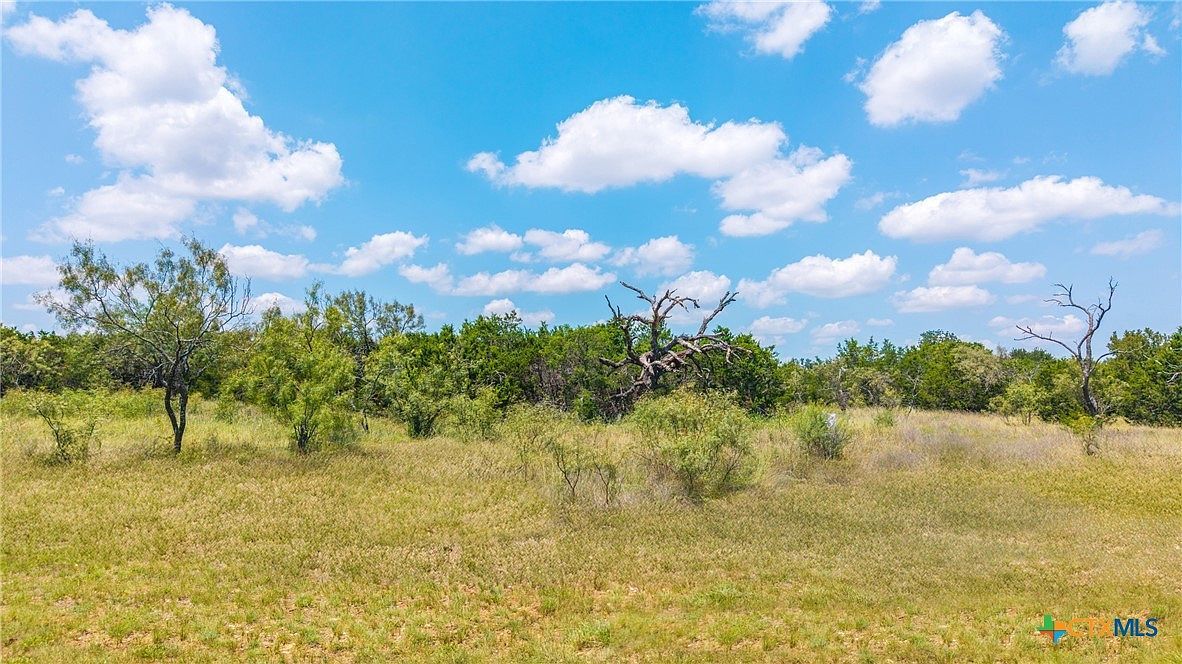 LOT 13 Private Road 42111 Evant, TX 76525 - Thumbnail 2