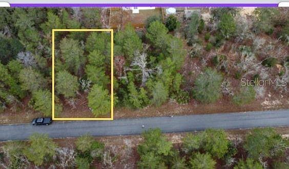 Malauka Dr LOT 11 Ocklawaha, FL 32179 - Thumbnail 2