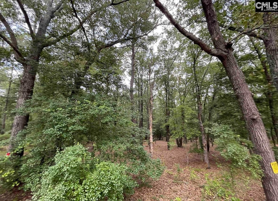 2372 Miles Rd Elgin, SC 29045 - Thumbnail 2