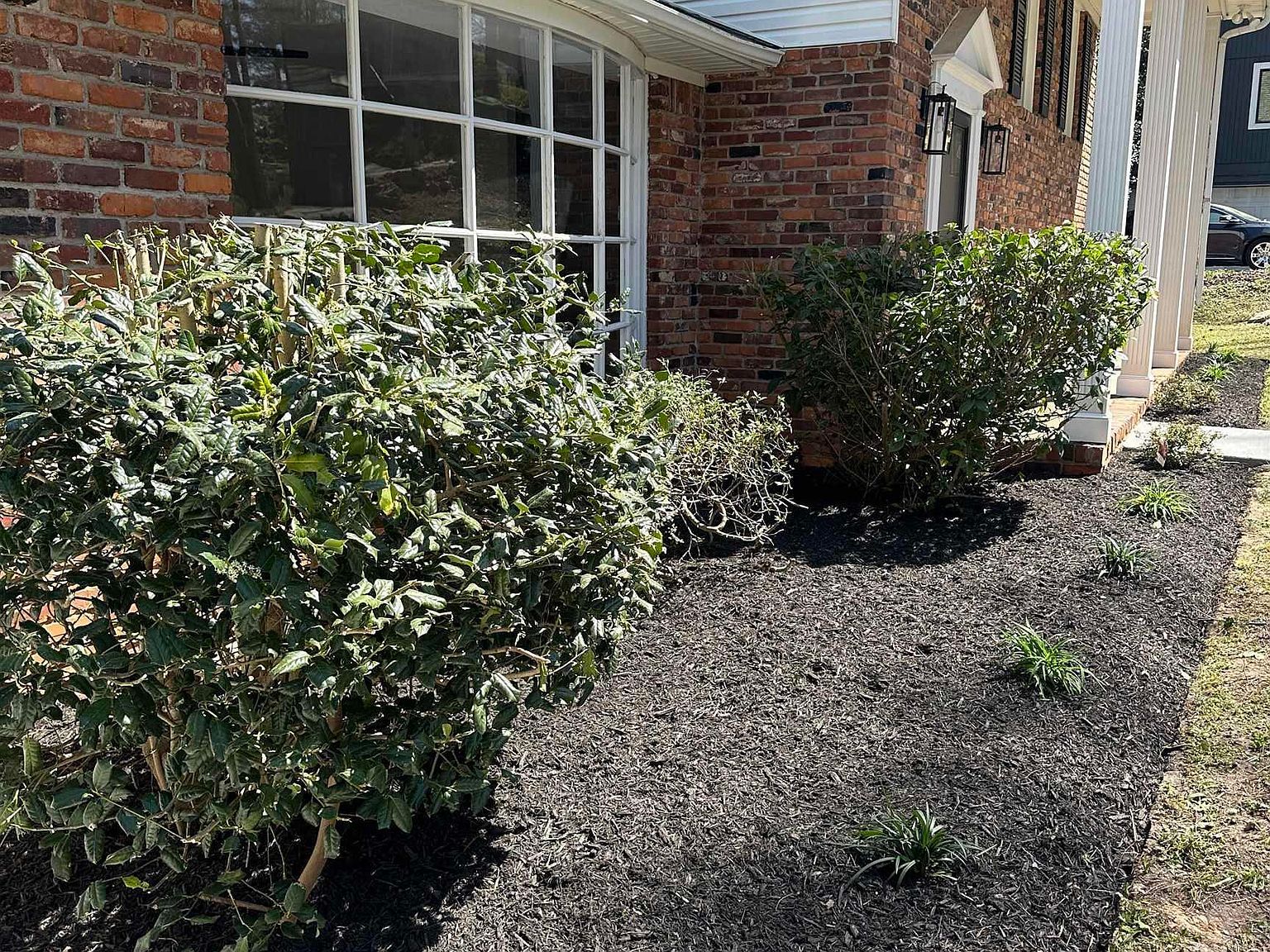 26 Nob Hill Rd Columbia, SC 29210 - Thumbnail 2