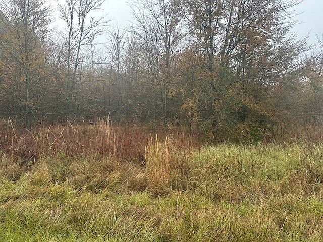 527 Tahiti Ln Kemp, TX 75143 - Thumbnail 2