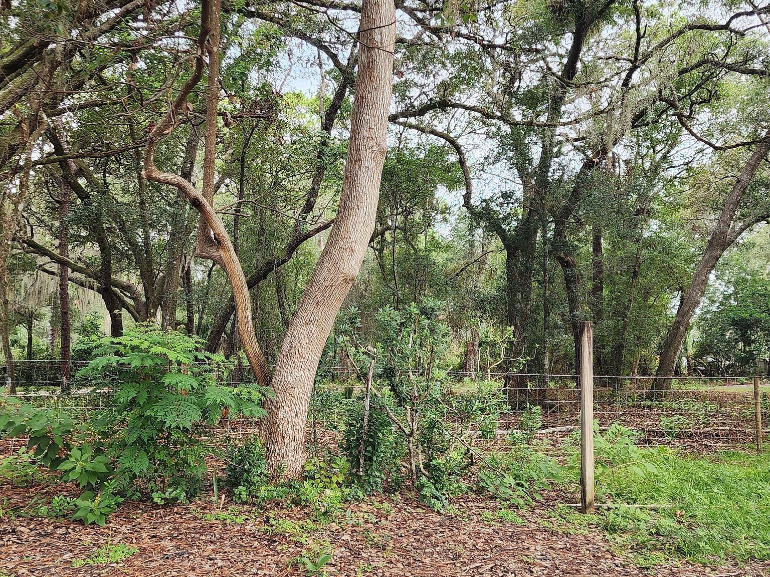 711 Sunset Ave Orange City, FL 32763 - Thumbnail 2