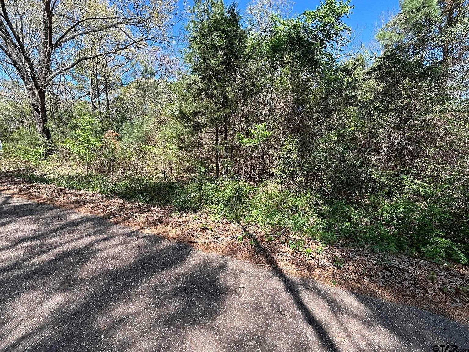 0 County Road 341 Tyler, TX 75706  | Land/Lot