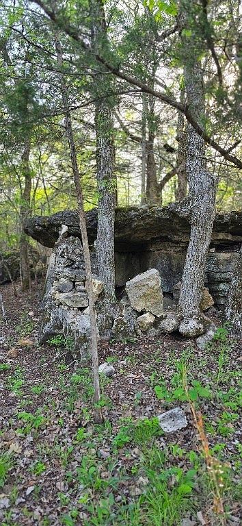 13258 Dubuque Rd Omaha, AR 72662 - Thumbnail 2