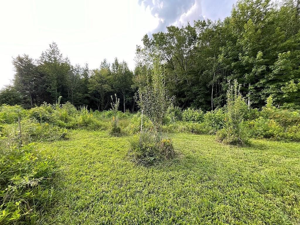 0 Somerset Dr Paris, TN 38242, 38242
