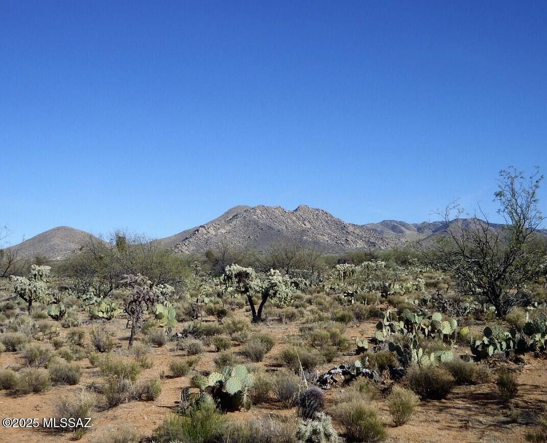 15007 S Carlburg Ave #208 Tucson, AZ 85736 - Thumbnail 2