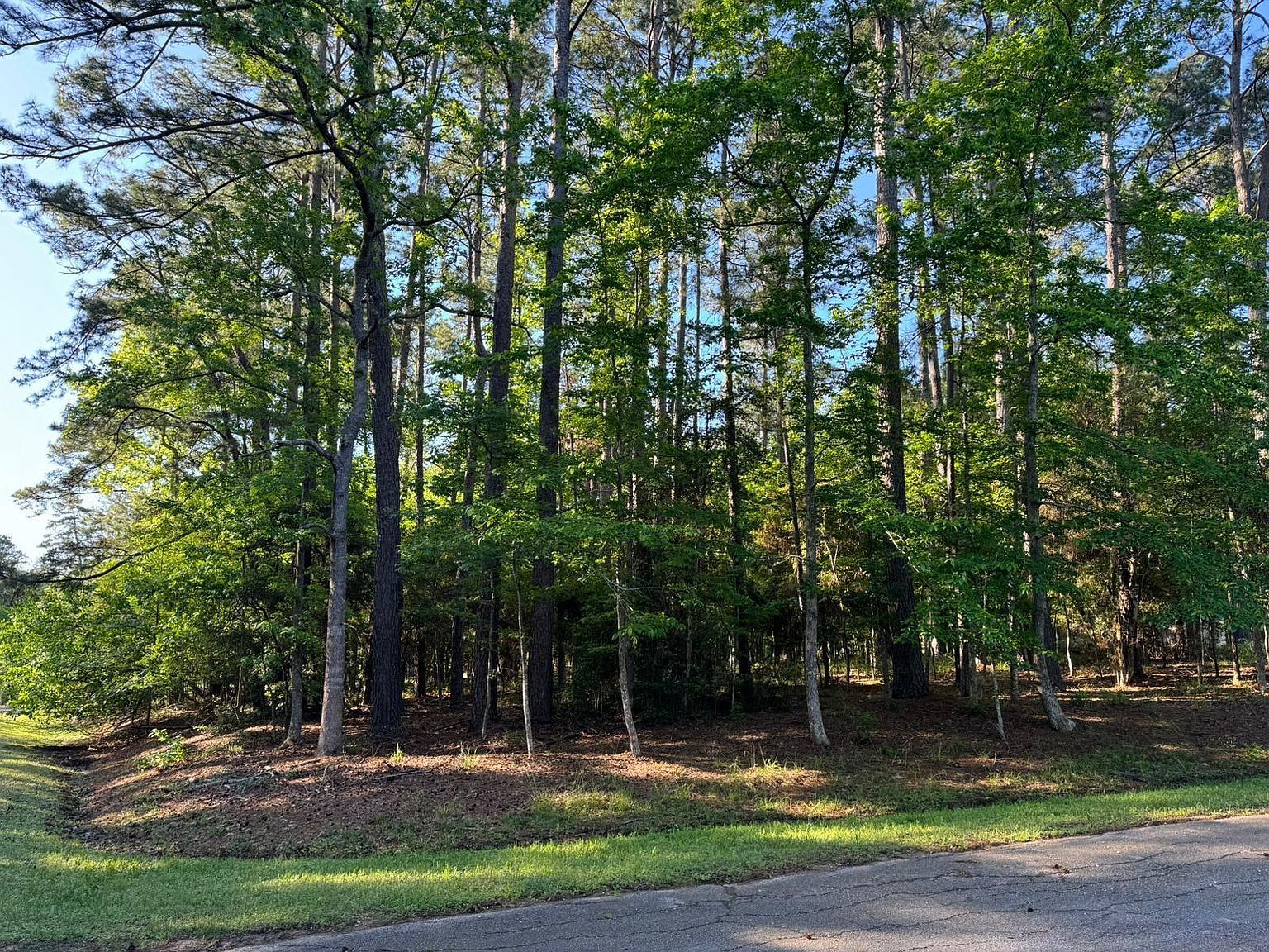 123 S Royale Greens Dr Coldspring, TX 77331 - Thumbnail 2