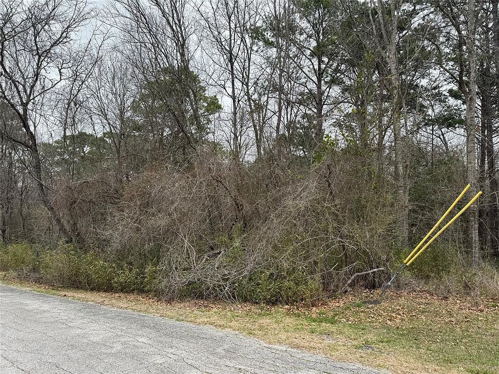 2 Clearwater Cir Coldspring, TX 77331 - Thumbnail 2