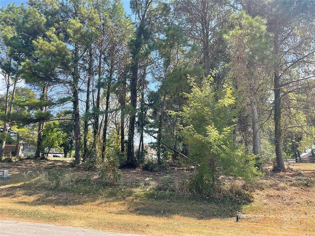 18 & 20 Harbour Point Cir LOT 10-11 Coldspring, TX 77331 - Thumbnail 2