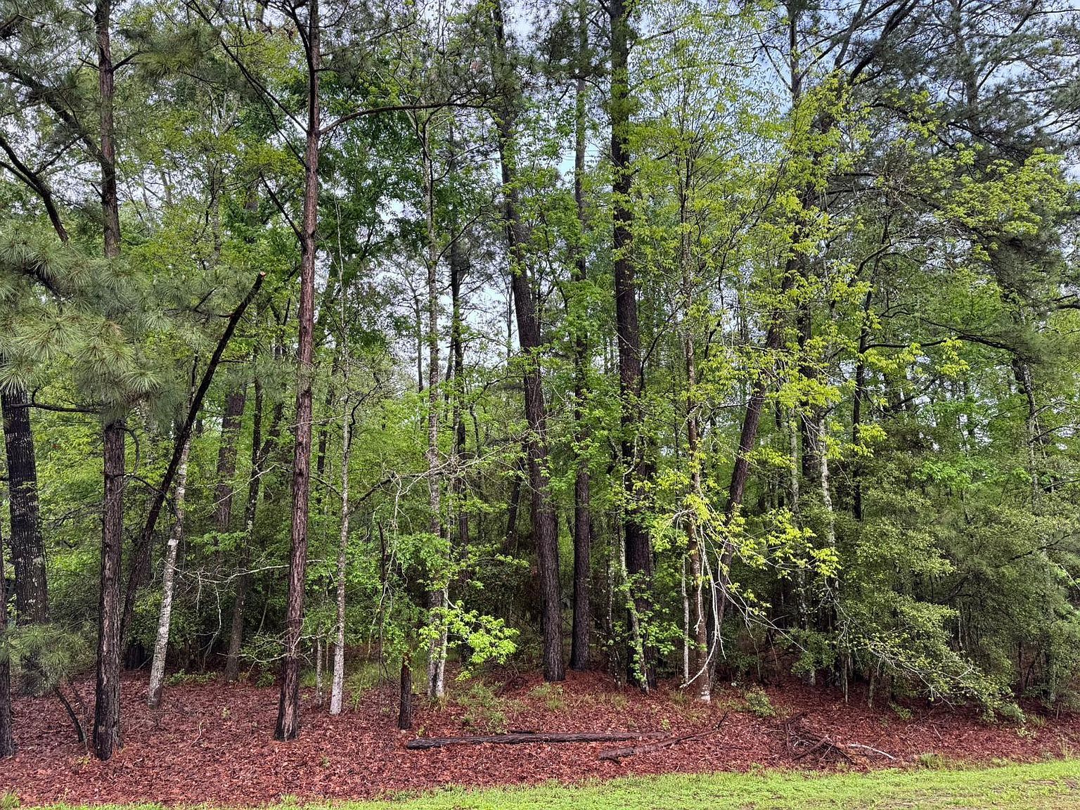 10 Wentworth Ln LOT 33 Coldspring, TX 77331 - Thumbnail 2