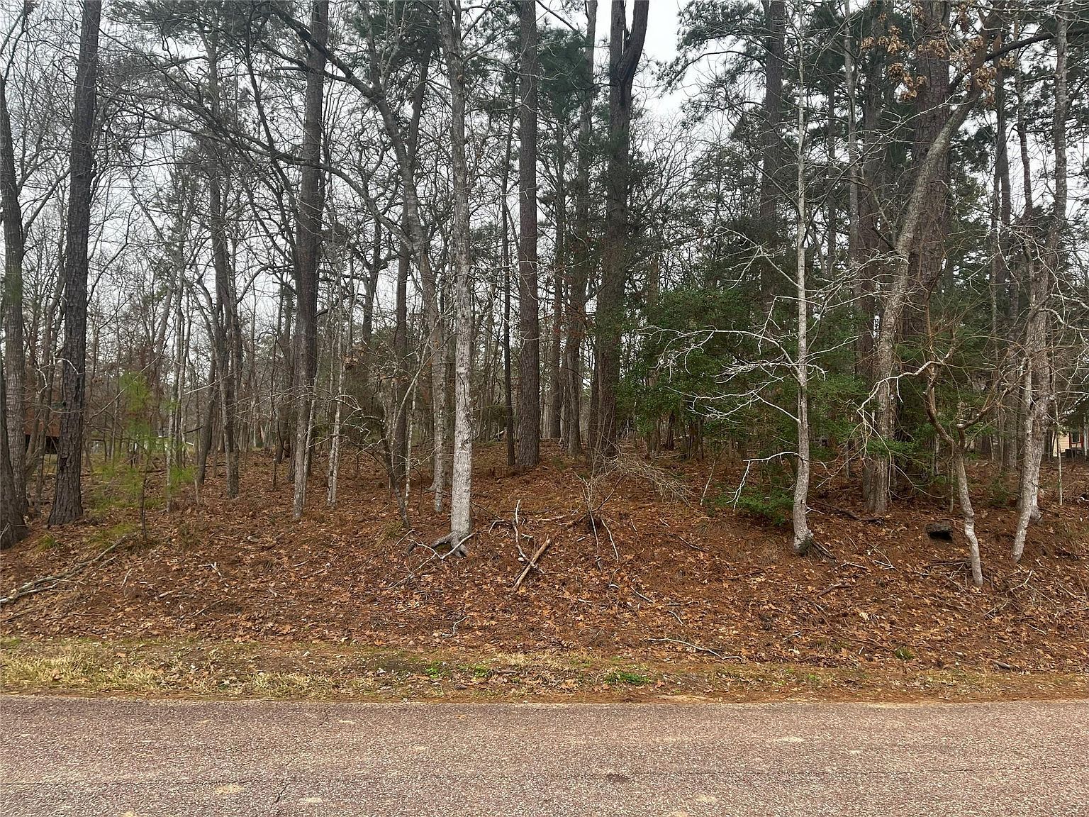 101 S Royale Greens Dr LOT 11 Coldspring, TX 77331 - Thumbnail 2
