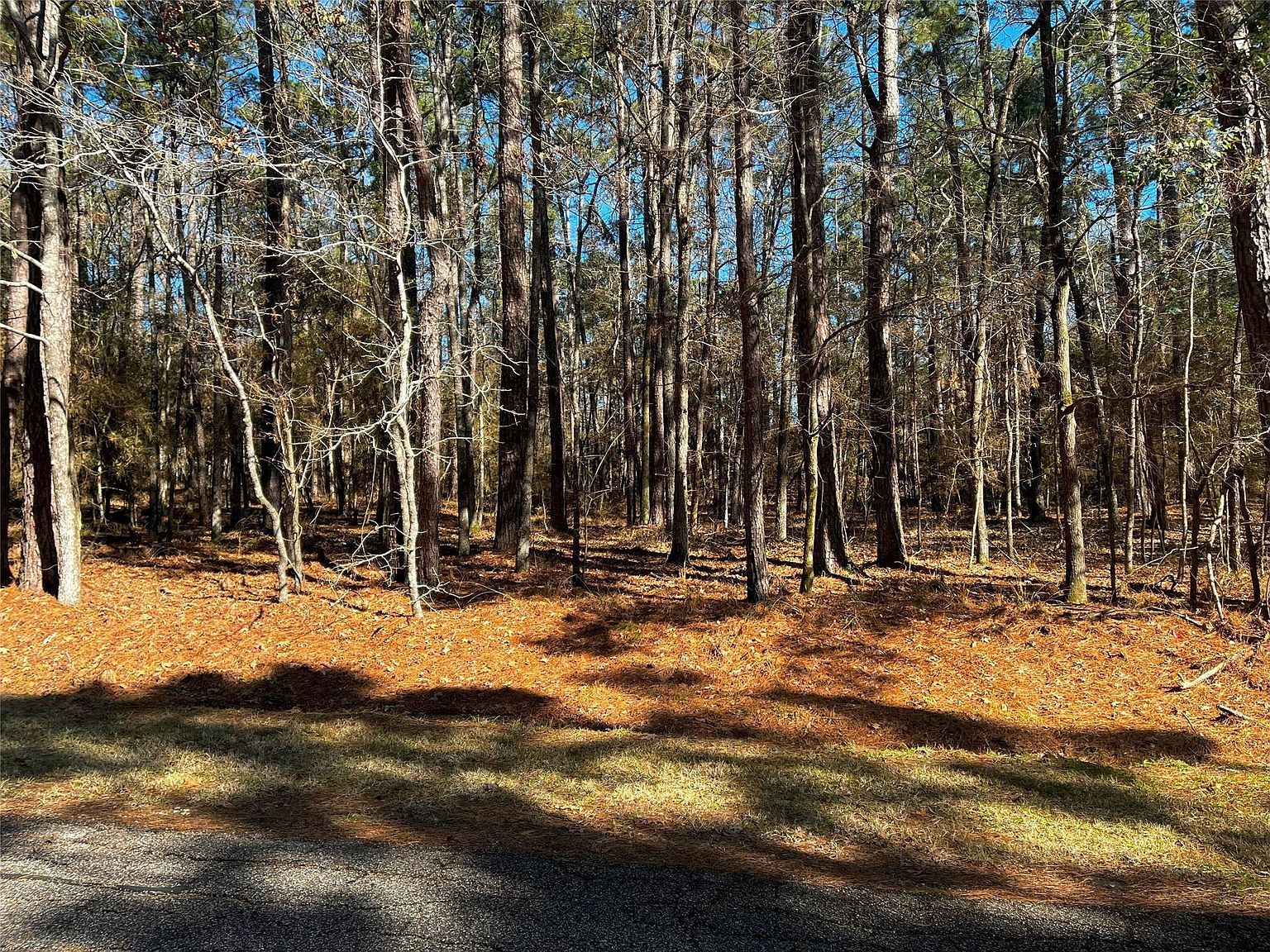 55 Green Tree Dr LOT 13 Coldspring, TX 77331 - Thumbnail 2
