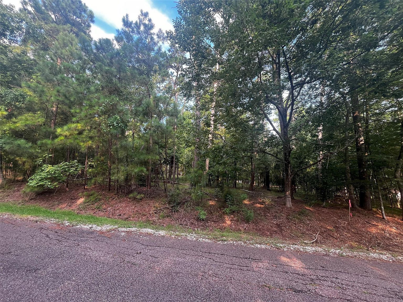 18 S Royale Greens Dr LOT 25 Coldspring, TX 77331 - Thumbnail 2
