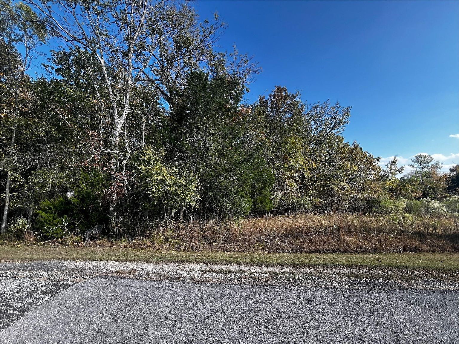 165 N Pine Harbour Dr LOT 85 Coldspring, TX 77331 - Thumbnail 2