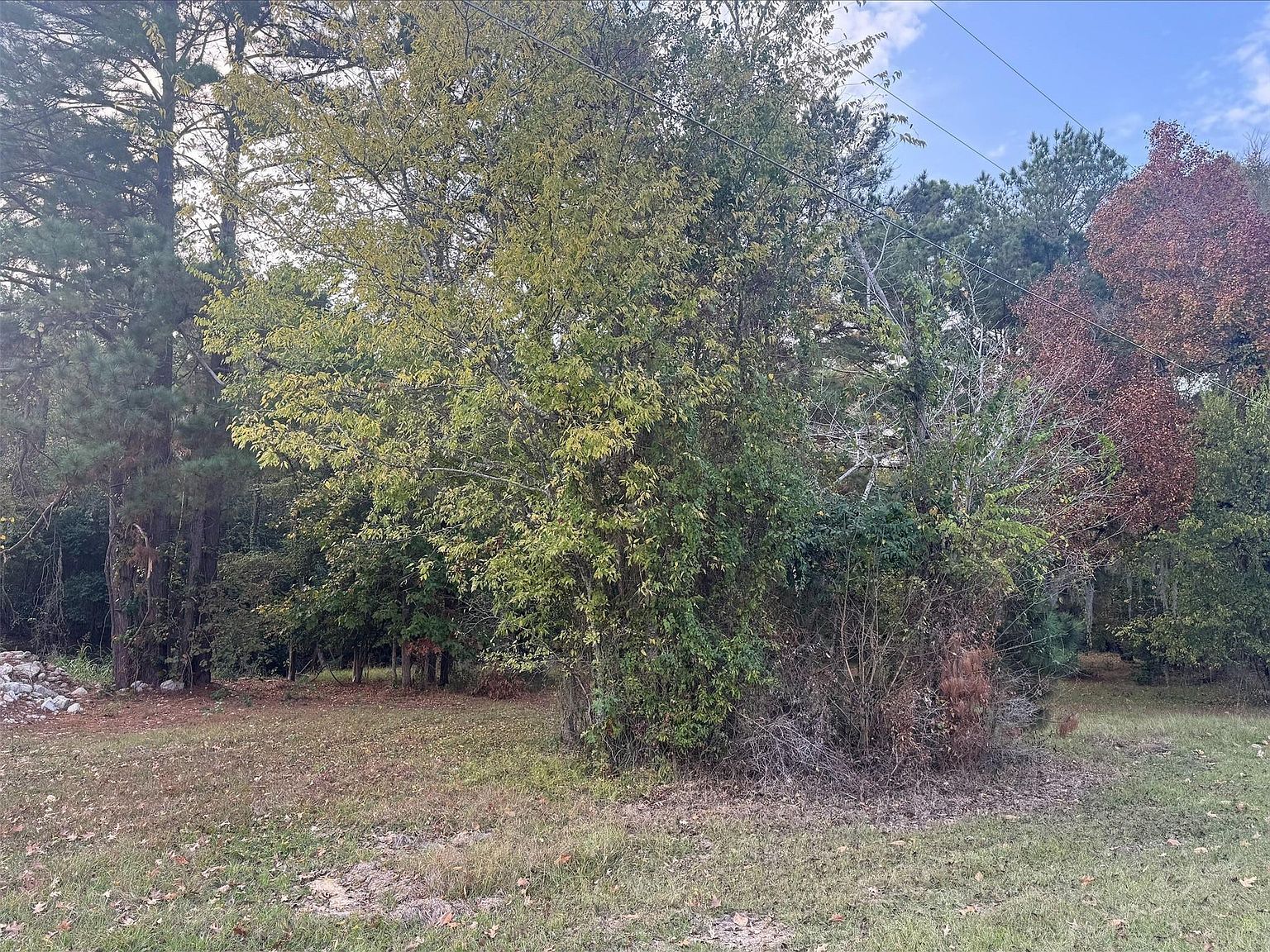 0 Silver Hickory Dr LOT 216 Coldspring, TX 77331 - Thumbnail 2