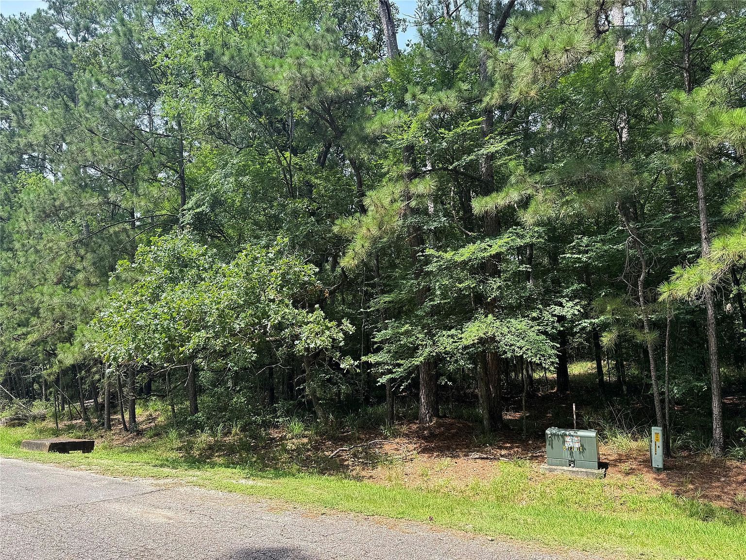 75 Green Tree Dr LOT 17 Coldspring, TX 77331 - Thumbnail 2