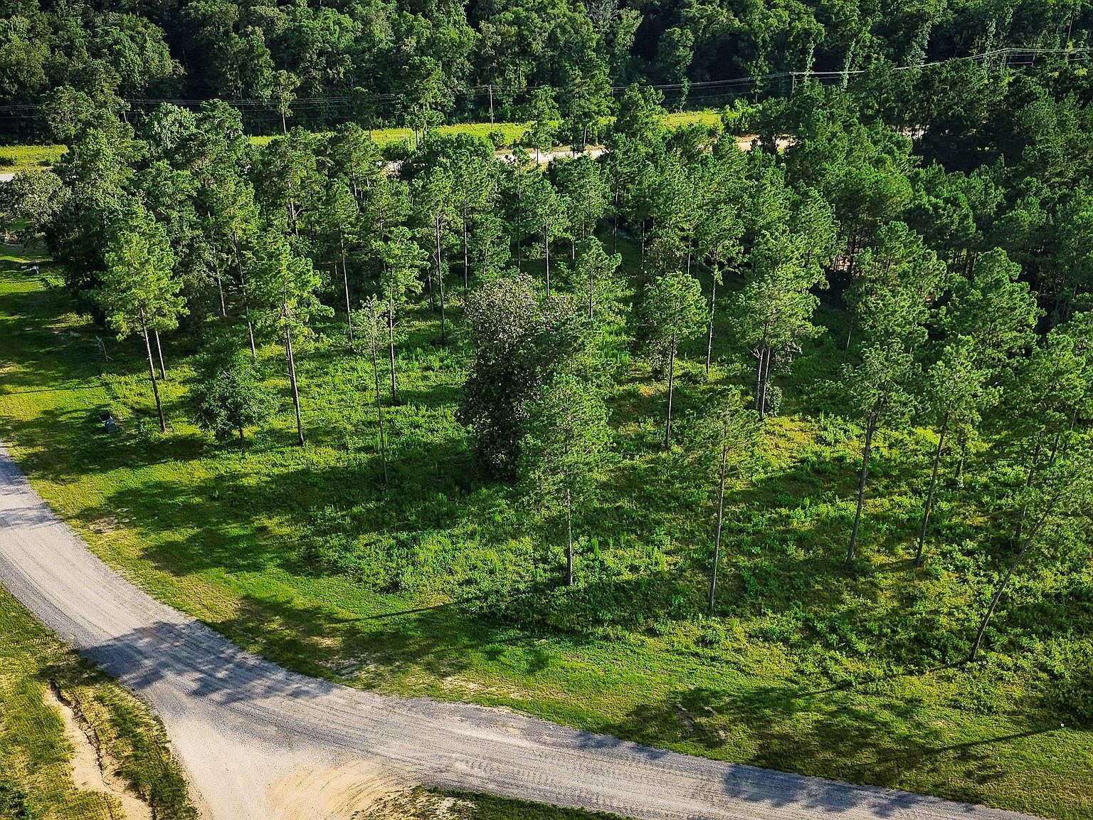 LOT 5 N Lake Dr Livingston, TX 77351 - Thumbnail 2