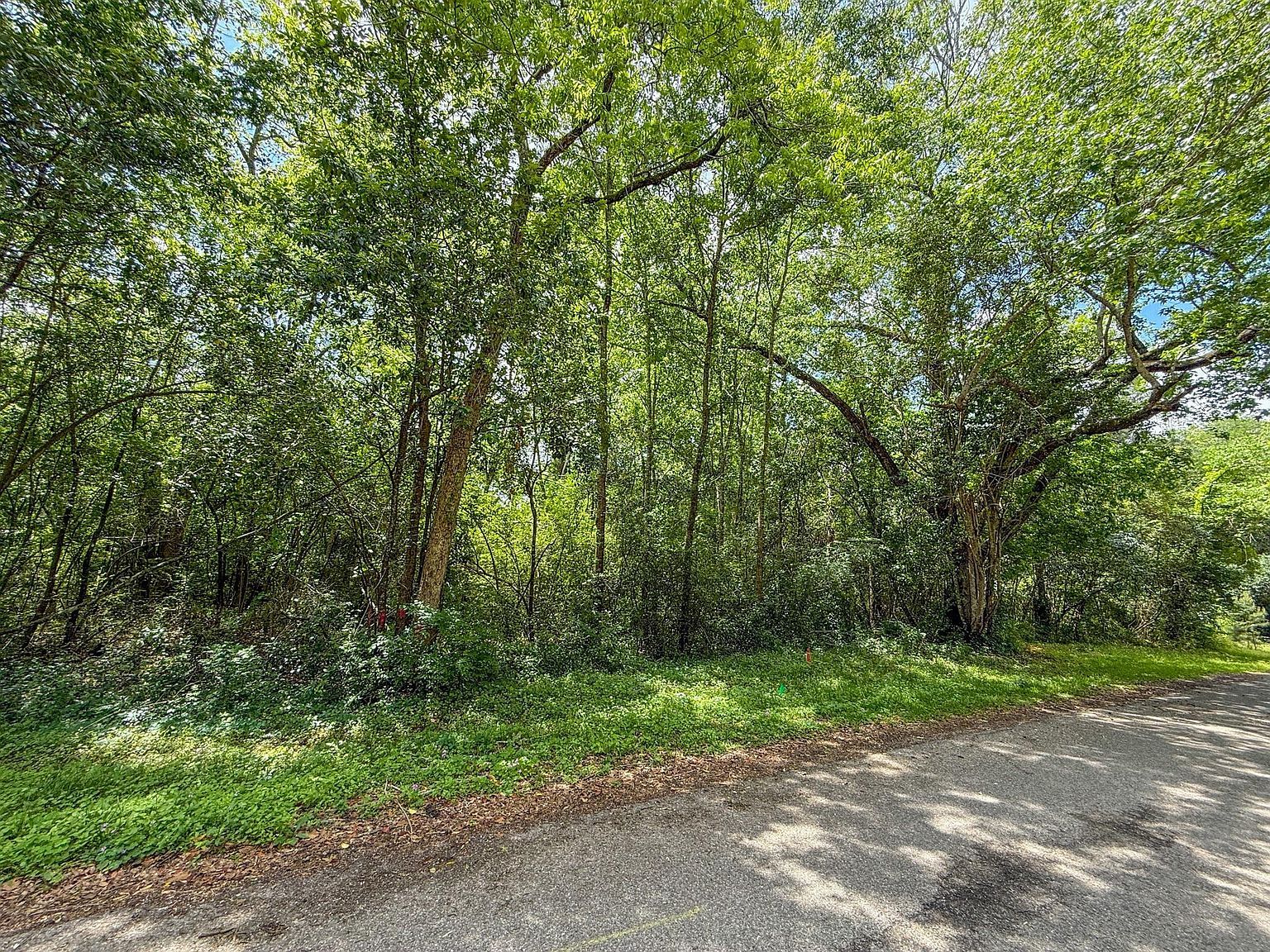 W Wheat St Lot F Woodville, TX 75979 - Thumbnail 2