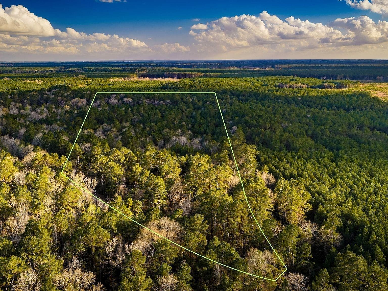 1 Holly Grove Rd Livingston, TX 77351 - Thumbnail 2