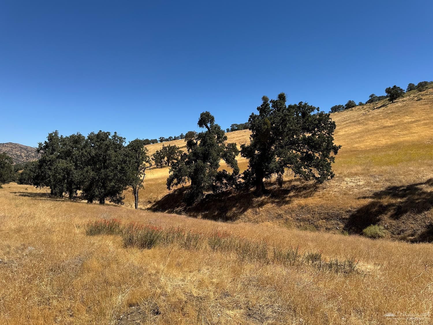 0 Arosa Rd LOT 7 Tehachapi, CA 93561 - Thumbnail 2