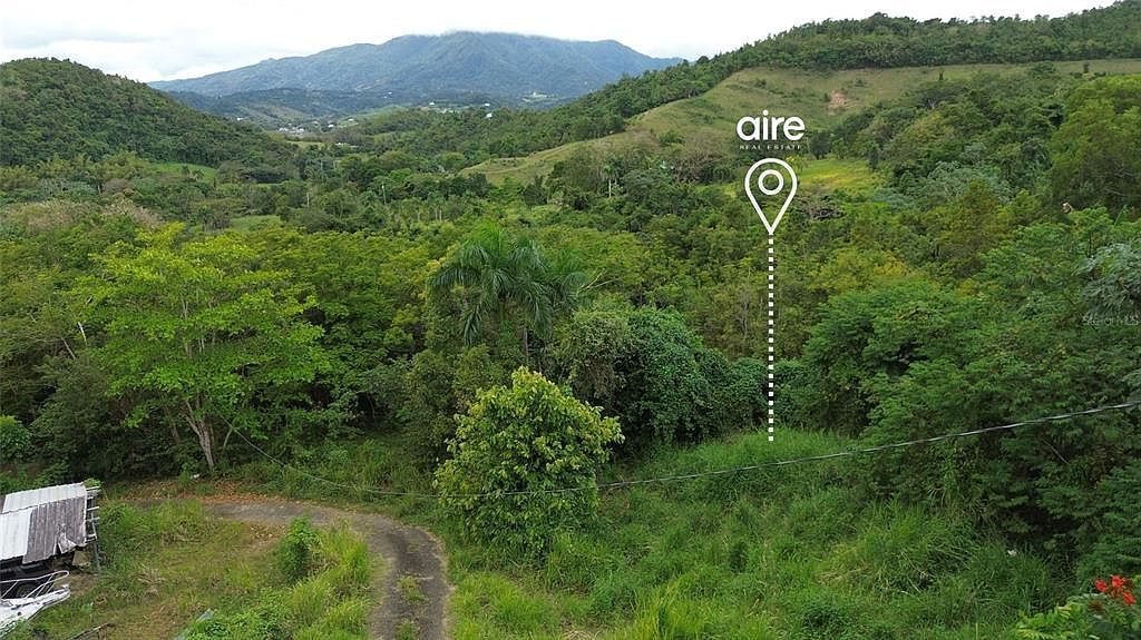 7 Km Pr #61-3 Ceiba, PR 00735  | Land/Lot