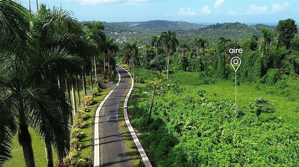 State Highway 191 Km #2.4 Rio Grande, PR 00745  | Land/Lot