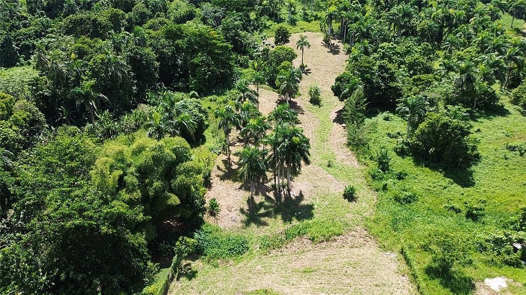 State Highway 992 Km 5.7 Bello Sitio Mameyes Lot 9 Luquillo, PR 00773  | Land/Lot