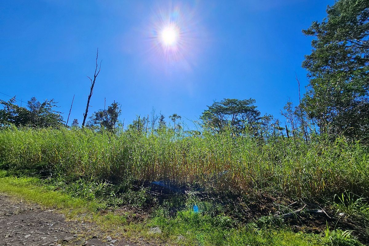 16-1920 36th Ave LOT 19 Kurtistown, HI 96760 - Thumbnail 2