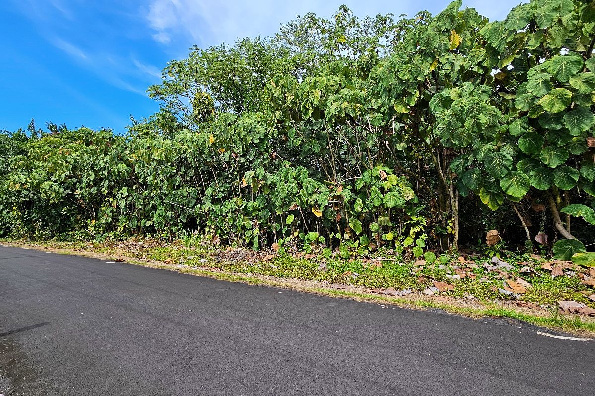 Papai St LOT 4 Pahoa, HI 96778 - Thumbnail 2