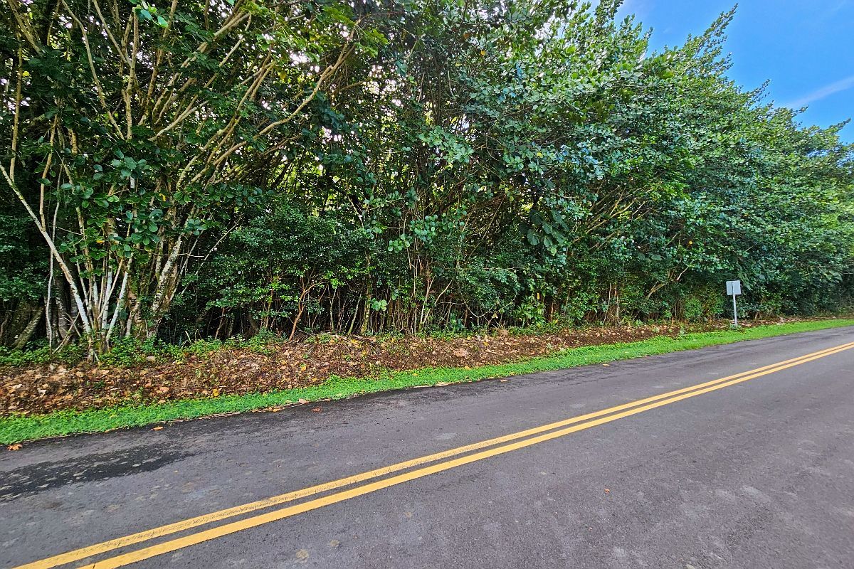 Puna Pkwy LOT 5 Pahoa, HI 96778 - Thumbnail 2