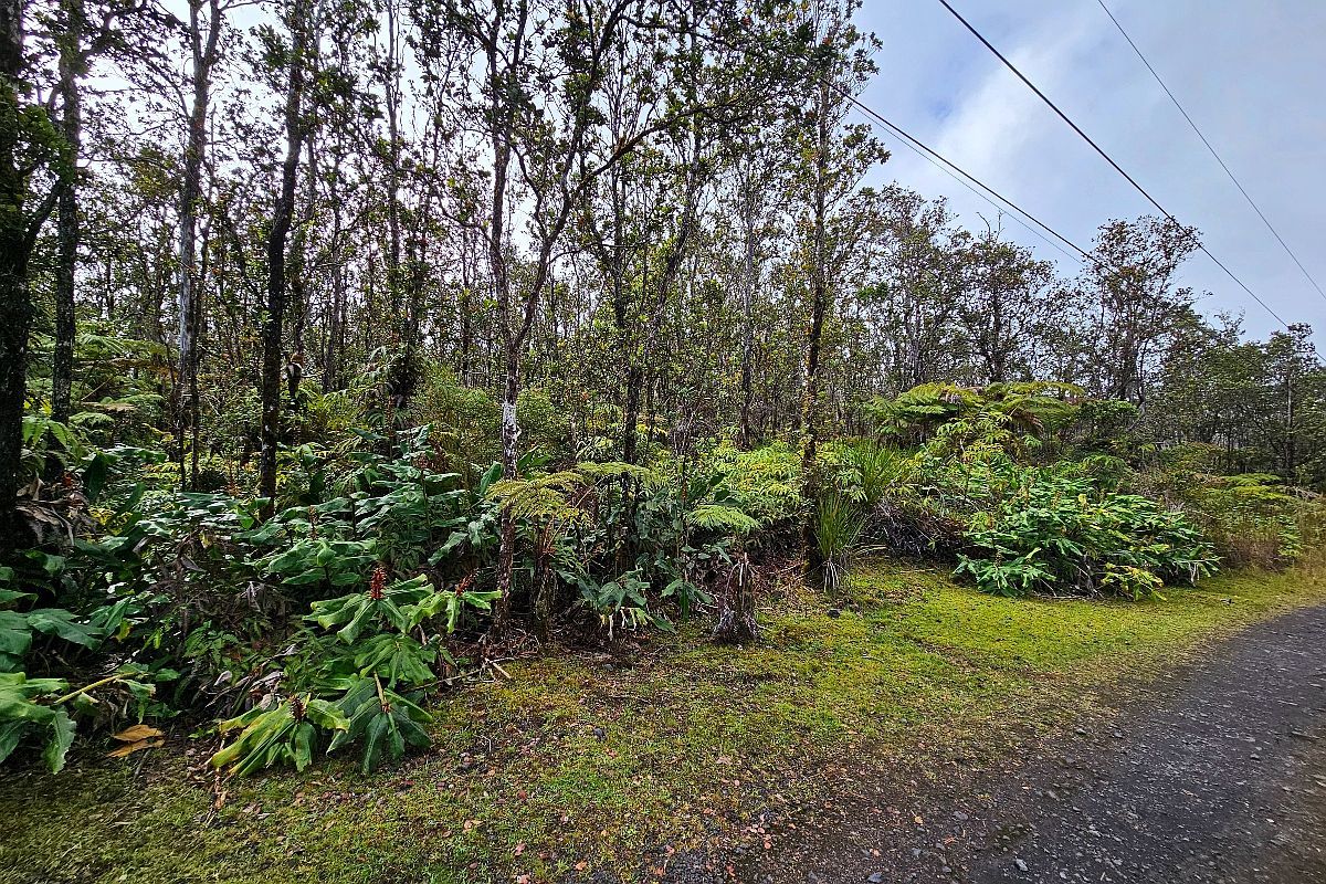 Kilihune Rd Lot 8758 Volcano, HI 96785  | Land/Lot