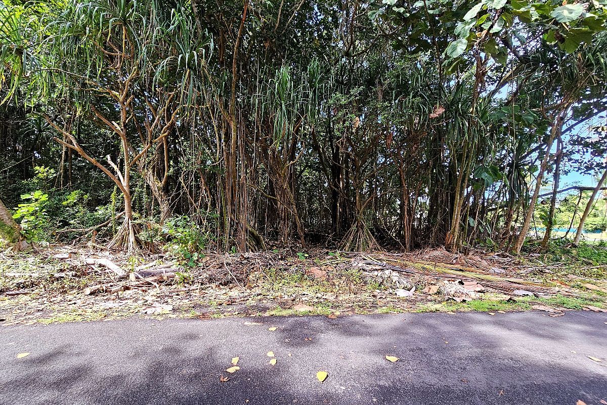 Papai St Lot 8 Pahoa, HI 96778  | Land/Lot