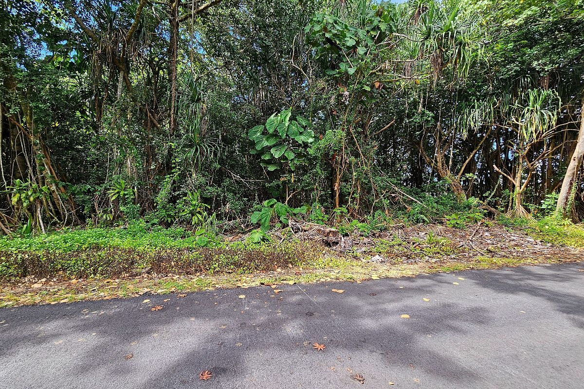 Puni Kahakai St W Lot 7 Pahoa, HI 96778  | Land/Lot