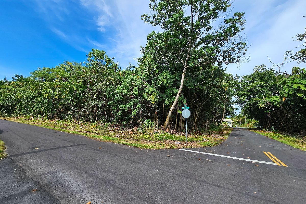 Papai St Lot 6 Pahoa, HI 96778  | Land/Lot