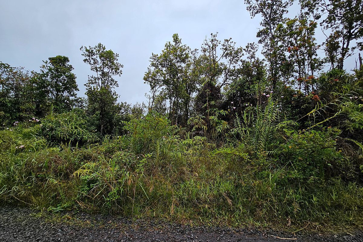Makoa Rd Lot 5 Volcano, HI 96785  | Land/Lot