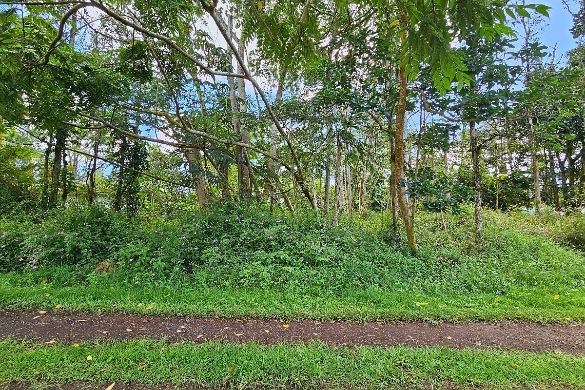 Priscilla Rd Lot 532 Pahoa, HI 96778  | Land/Lot
