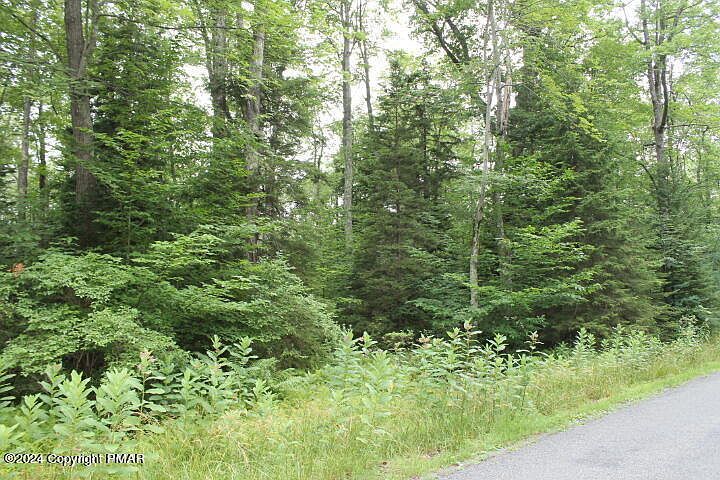 517 E Forest Rd Pocono Lake, PA 18347 - Thumbnail 2