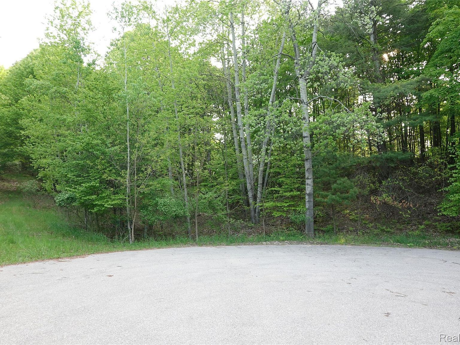 0 Buckridge Ct Rapid City, MI 49676 - Thumbnail 2